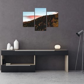 Tablou - Zori de zi (90x60 cm)