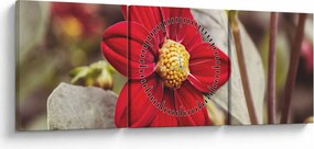 Tablou cu floare (cu ceas) (90x30 cm)