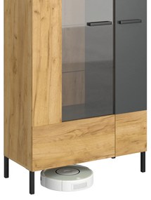 Vitrină Shanna (Stejar craft auriu + antracit). 1053226