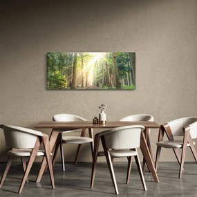 Tablou - Poteci în pădure (120x50 cm)