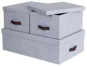 Cutii de depozitare gri-deschis 3 buc. din carton cu capac 31x47x15 cm Inge – Bigso Box of Sweden