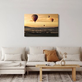 Tablou cu baloane zburând (90x60 cm)