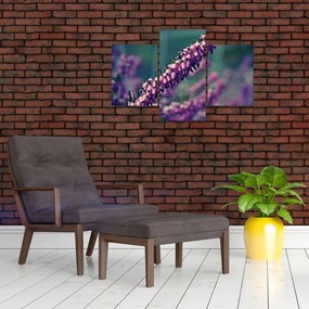 Tablou cu floare violetă (90x60 cm)