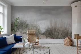 Fototapet, Pale Shore, Rebel Walls