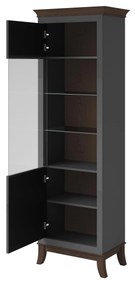 Vitrină Tyrion Typ 05 (antracit lucios + ciocolățiu) (cu iluminat). 1108296