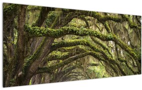 Tablou - Oaks Avenue, Charleston, Carolina de Sud, SUA (120x50 cm)