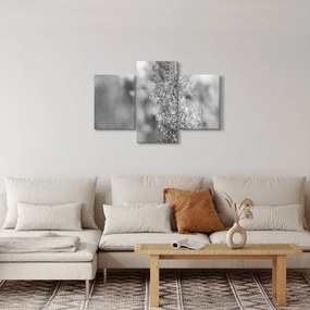 Tablou - Iarbă de pampas Boho (90x60 cm)