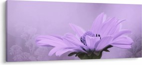 Tablou - Flori mov (120x50 cm)