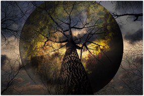 Tablou - Cerul enigmatic (90x60 cm)