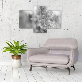 Tablou - Iarbă de pampas Boho (90x60 cm)