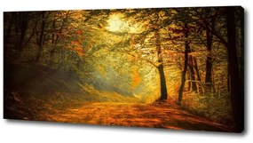 Imprimare tablou canvas Pădure în toamna