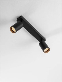 Plafoniera cu 2 Spoturi directionabile minimalista REIG, NVL-9011534