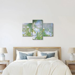 Tablou - Flori delicate (90x60 cm)