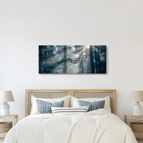 Tablou cu copaci și soarele translucind (120x50 cm)