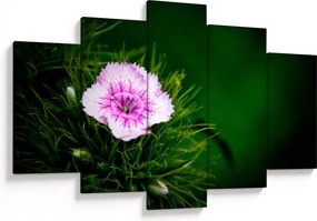 Tablou cu floare roz (150x105 cm)