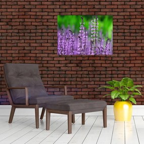 Tablou pe sticlă cu flori de luncă violete (70x50 cm)