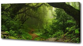 Tablouri tipărite pe pânză Jungle în nepal