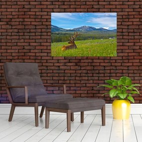 Tablou - Cerb în luncă (90x60 cm)