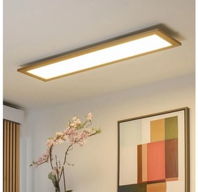 Plafonieră LED Brilagi SLIMFRAME WOOD LED/58W/230V 124x34 cm maro