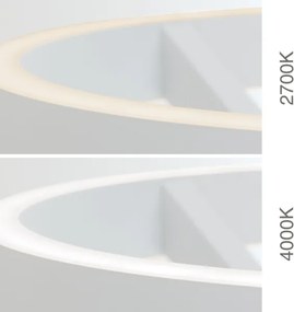 Orion - Lampă de podea LED dimmabilă KOLK LED/40W/230V 2700/4000K albă