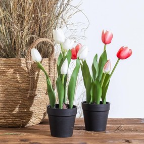 Plantă artificială (înălțime 31 cm) Tulips – Ixia