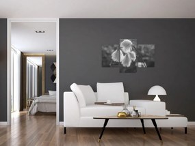Tablou - Iarba de bumbac (90x60 cm)