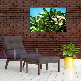 Tablou - Plumeria (90x60 cm)