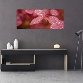 Tablou - Imagine macro a biletului (120x50 cm)