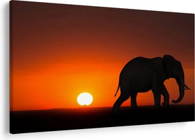 Tablou cu elefant în apus de soare (90x60 cm)