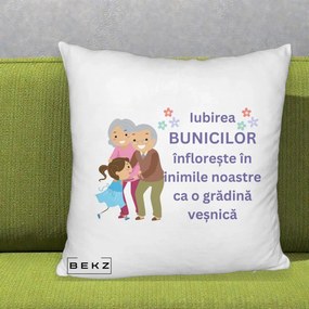 Cadou pentru Bunici - Perna Personalizata Bunicii Iubirea Infloreste Bunici cu Nepoata Colorat, 40x40 cm, Alb Pufos, Husa Detasabila, Perna Inclusa, BEKZ®