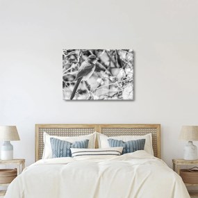 Tablou - Bluebird în timpul iernii (70x50 cm)