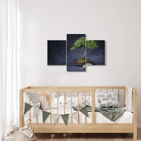 Tablou - Bonsai (90x60 cm)