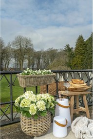 Frigider de vinuri Bminora 2 (alb). Promo -9%. 1146680