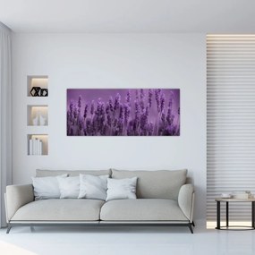 Tablou - Lavanda (120x50 cm)