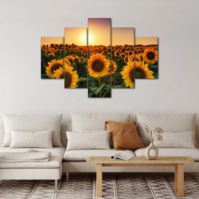 Tablou - Floarea soarelui (150x105 cm)