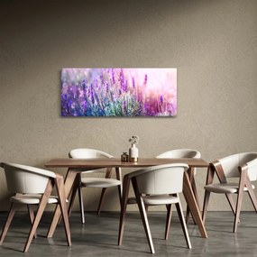 Tablou - Lavandă în strălucirea soarelui (120x50 cm)