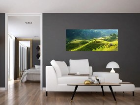 Tablou - Concert Terase de orez (120x50 cm)