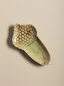 Set 2 recipiente decorative din ceramică artizanală natur, formă de nucă și ghindă, 13 × 21,5 × 11,5 cm, „Acorn"