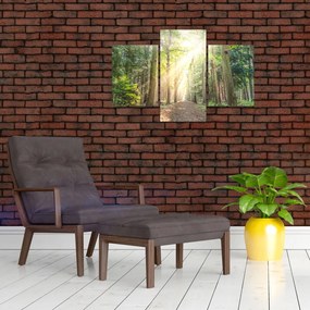 Tablou - Poteci în pădure (90x60 cm)