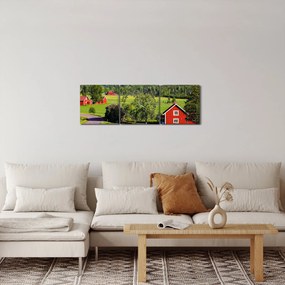 Tabloul cu țară (cu ceas) (90x30 cm)