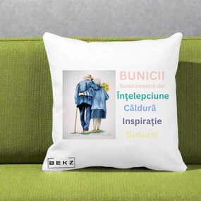 Cadou pentru Bunici - Perna Personalizata Bunicii Sursa Intelepciune Caldura Acuarela, 40x40 cm, Alba Mata, Husa Detasabila, Perna Inclusa, BEKZ®