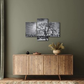 Tablou cu sat alb negru (90x60 cm)