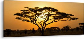 Tablou - Savana africană (120x50 cm)