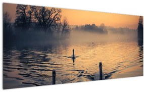 Tablou cu lebăde pe apă în ceață (120x50 cm)