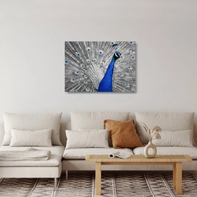 Tablou pe sticlă - păun albastru (70x50 cm)