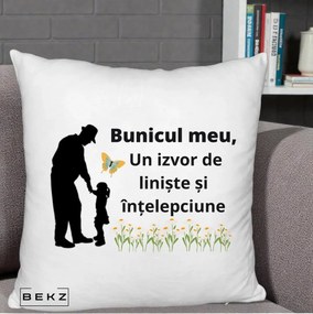 Cadou pentru Bunic - Perna Personalizata Bunicul Meu Izvor de Liniste cu Fluture si Fetita, 40x40 cm, Alb Pufos, Husa Detasabila, Perna Inclusa, BEKZ®