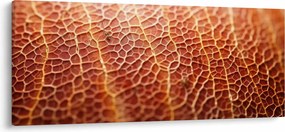 Tablou - Detaliu de textură (120x50 cm)