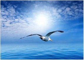 Tablou - Pescărușul peste mare (70x50 cm)