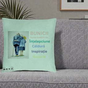 Cadou pentru Bunici - Perna Personalizata Bunicii Sursa Intelepciune Caldura Acuarela, 40x40 cm, Verde Menta, Husa Detasabila, Perna Inclusa, BEKZ®