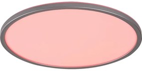 Rabalux 2290 - Plafonieră LED RGB dimabilă RASMUS LED/22W/230V + telecomandă
